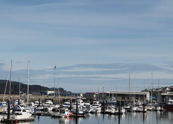 Viveiro